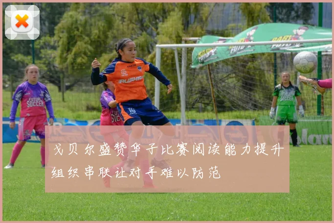 戈贝尔盛赞华子比赛阅读能力提升组织串联让对手难以防范